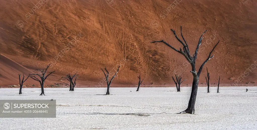 Deadvlei is a white clay pan located near Sossusvlei, inside the Namib-Naukluft Park in Namibia