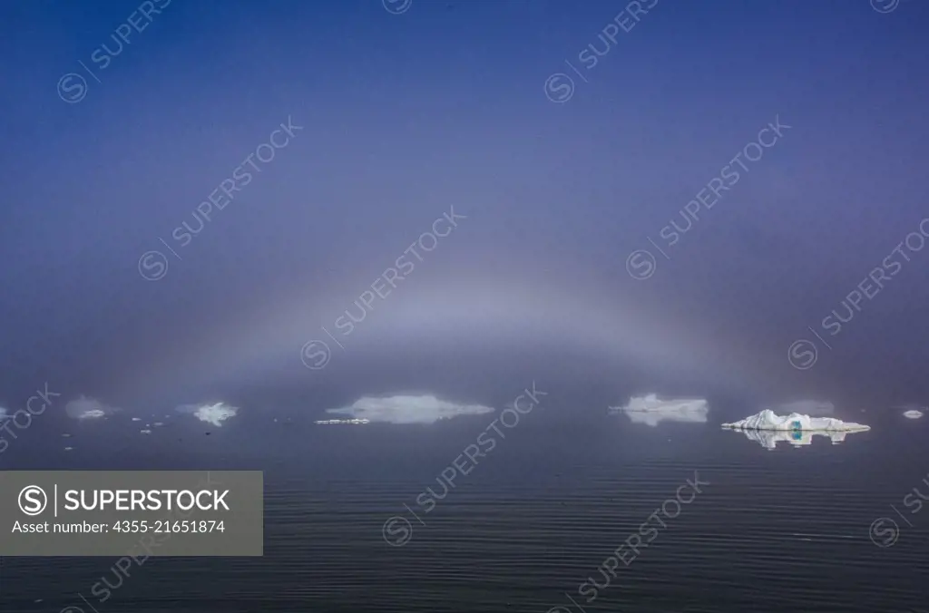 A fogbow forms through heavy fog showing large icebergs in Blackhead, Antarctica