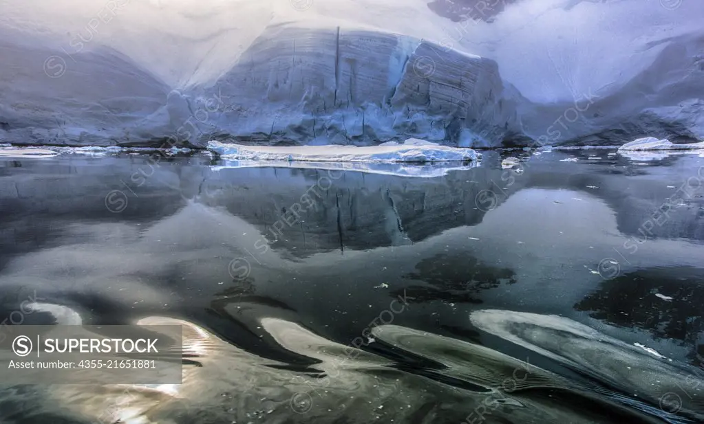 Glaciers and icebergs in Blackhead, Antarctica