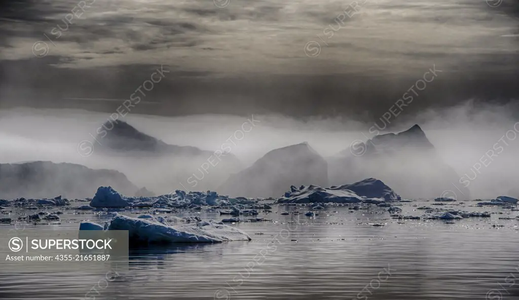 Icebergs in the fog off of Blackhead, Antarctica