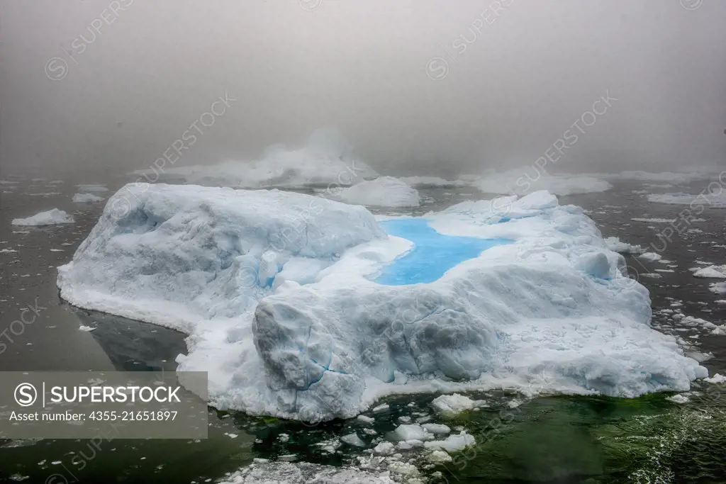Icebergs in the Grandidier Channel, Antarctica