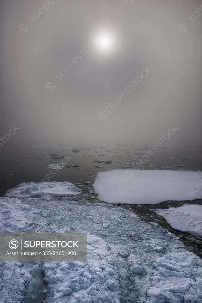 Sheet Ice and fog in the Grandidier Channel, Antarctica