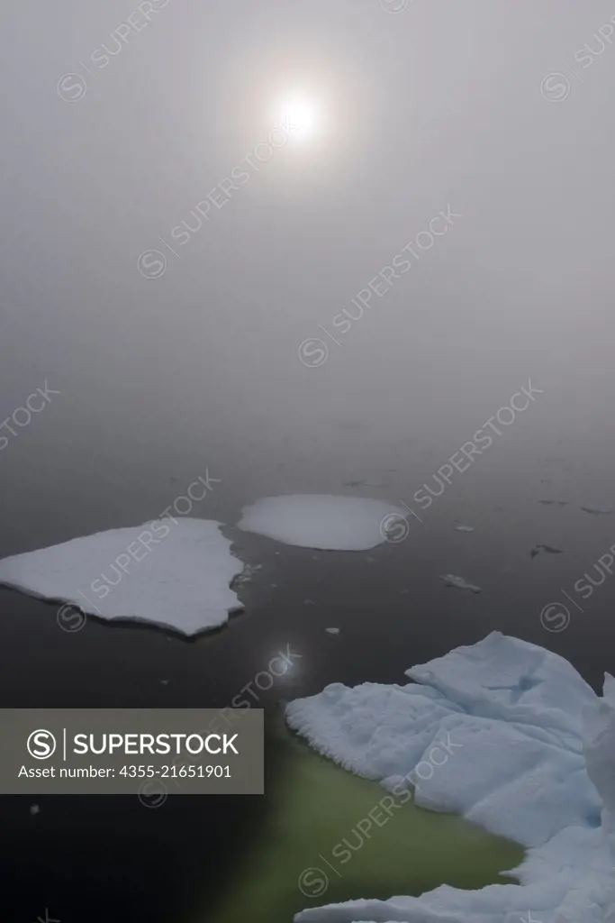 Sheet Ice and fog in the Grandidier Channel, Antarctica