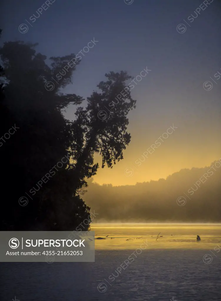 Lake Mapourika is located on the West Coast of New Zealand's South Island. It lies north of Franz Josef Glacier.