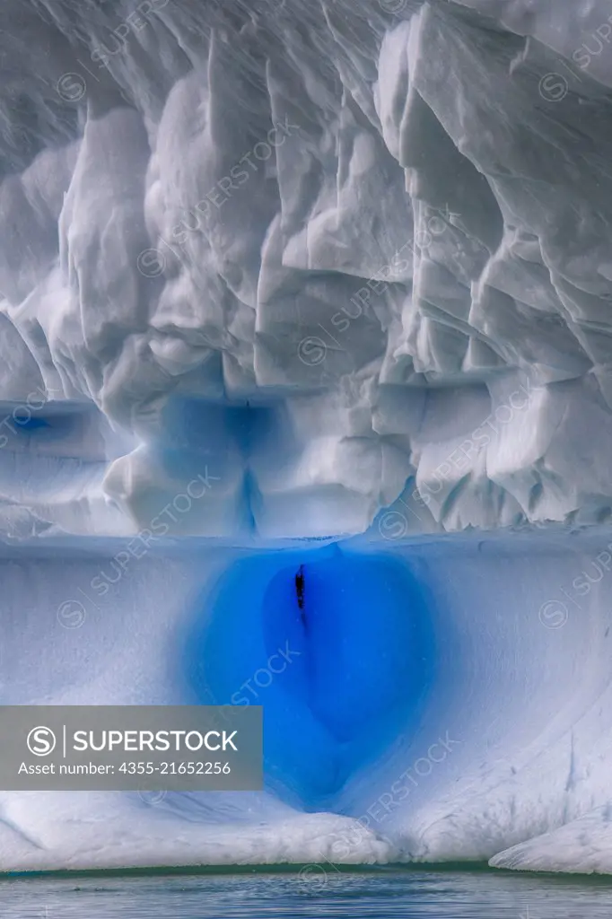 A very sensual iceberg in Pleneau Bay.