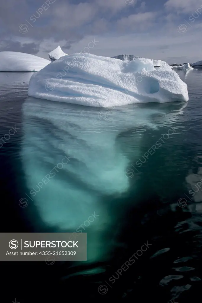 An iceberg which resembles a manatee near Vernadsky Station in Antarctica