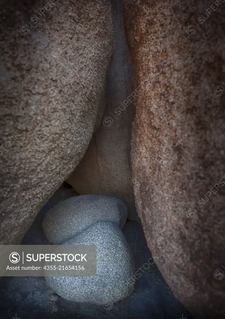 Joshua Tree National Park in southern California. It's characterized by rugged rock formations, harsh desert  and bristled Joshua trees