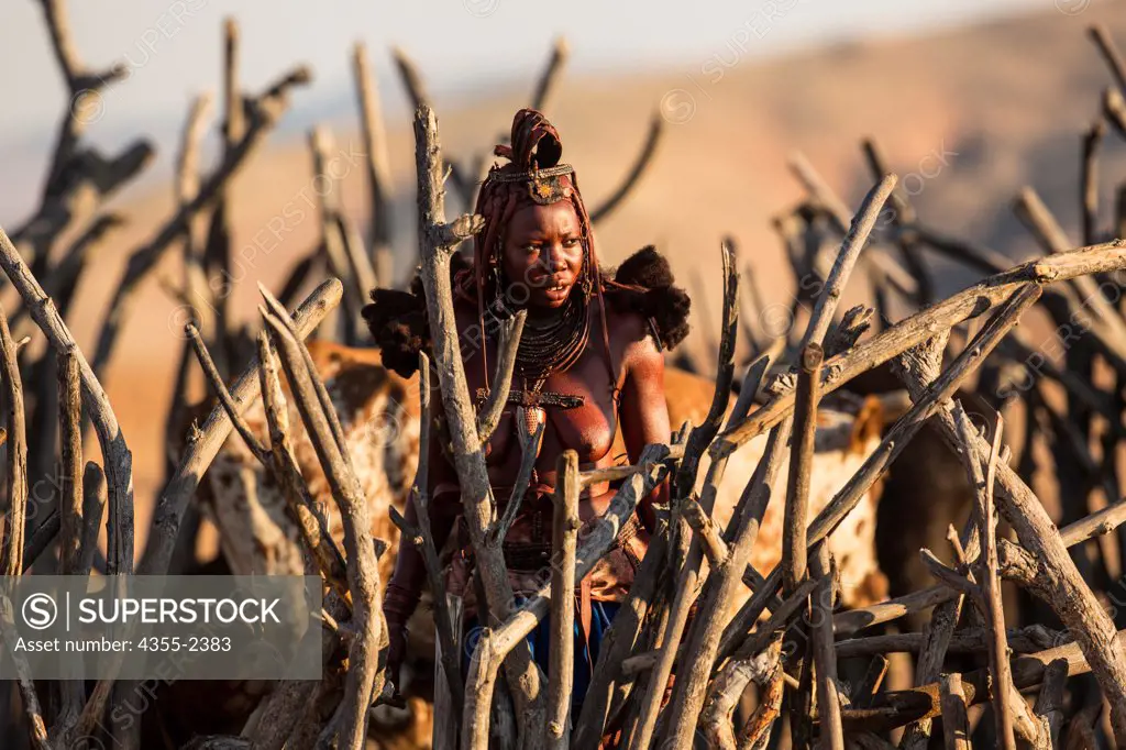 Namibia, Serra Cafema, Himba girl behind fence with cattle