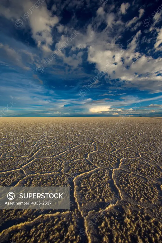 Bolivia, Salar de Uyuni, View of cracked salty surface