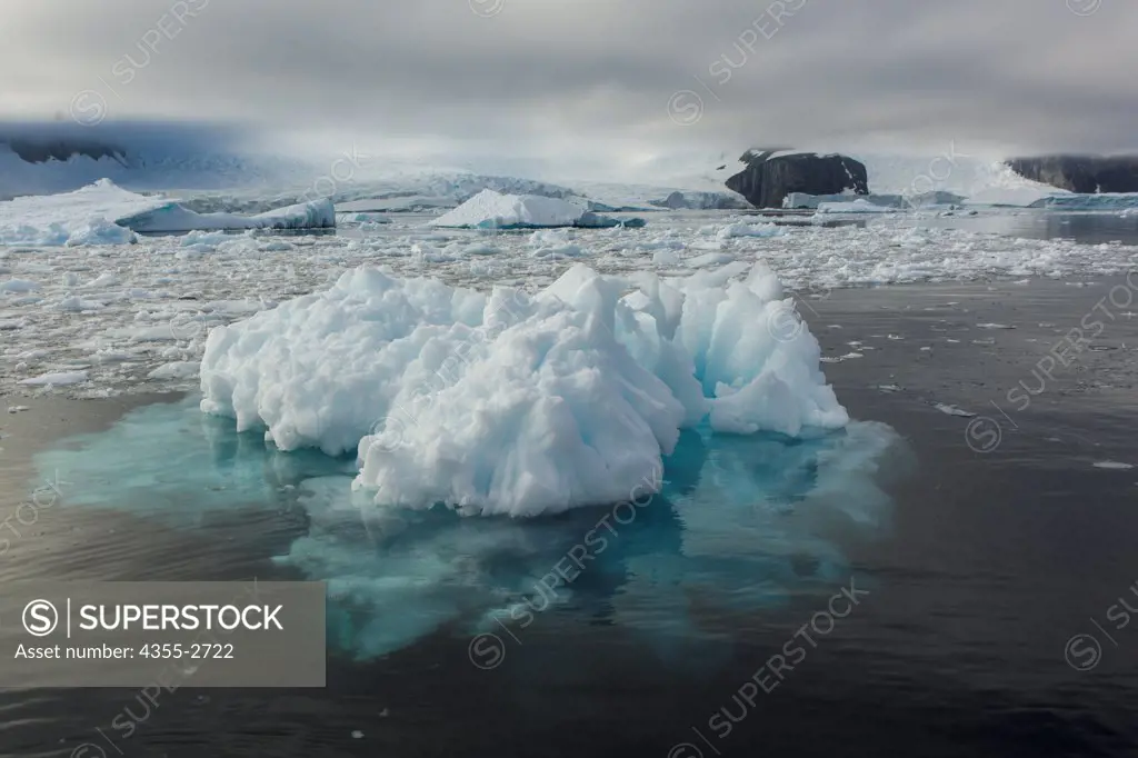 Icebergs floating on water, Danko Island, Antarctica