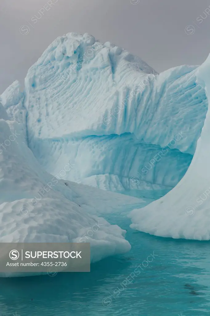 Tabular iceberg floating on water, Danko Island, Antarctica