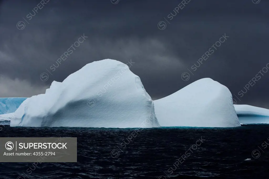 Icebergs floating on water, Petermann Island, Antarctica