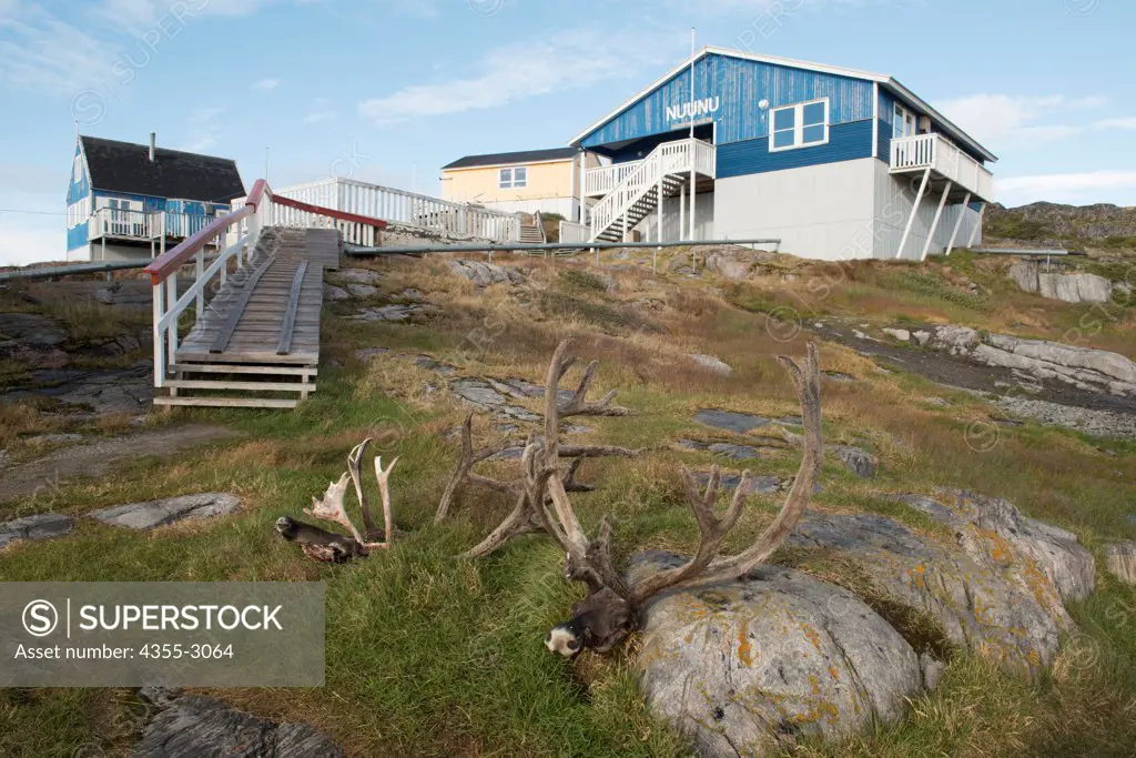Stag sculptures in front of building, Itilleq, Sisimiut, Greenland