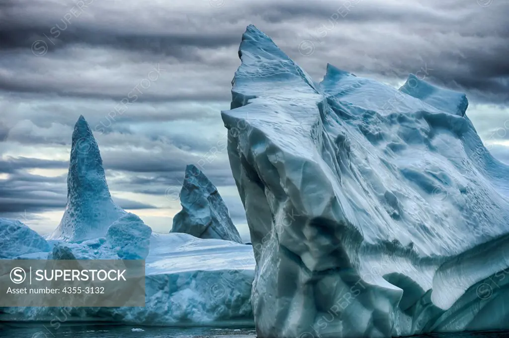 Tabular icebergs floating on water, Uunartoq Qeqertaq, Greenland