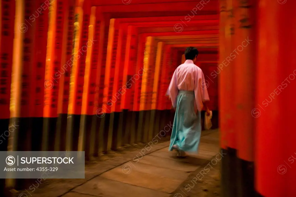 Priest Walking Through Long Row of Torii