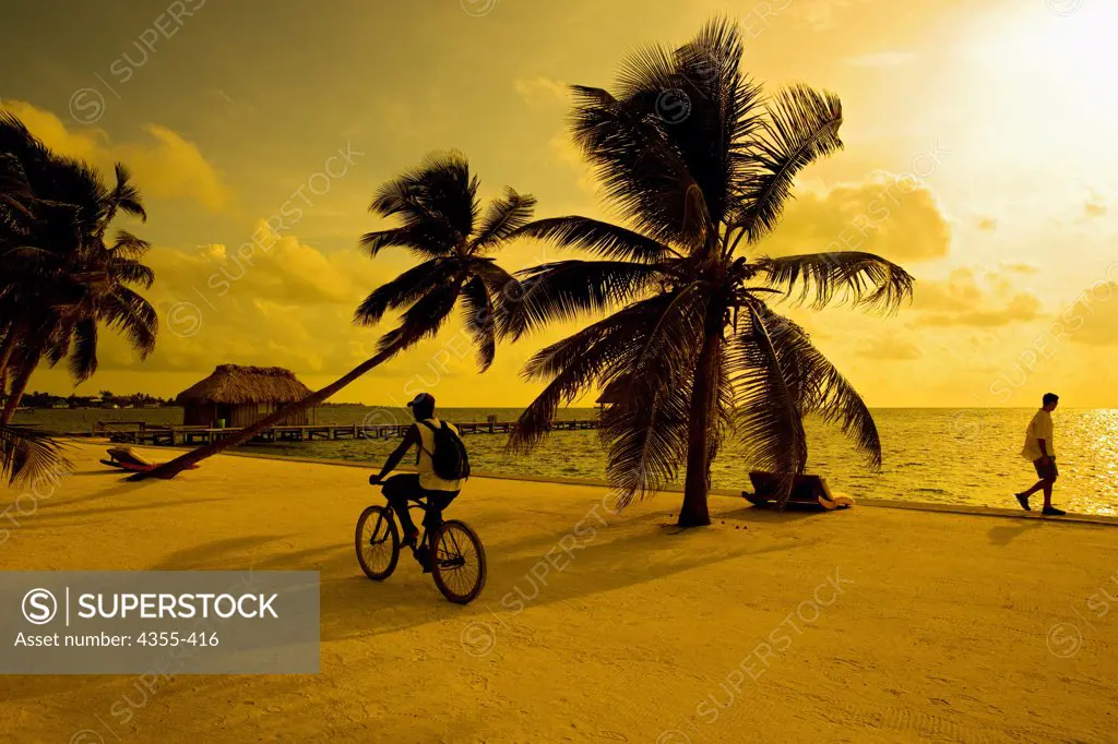 Biking on the Beach