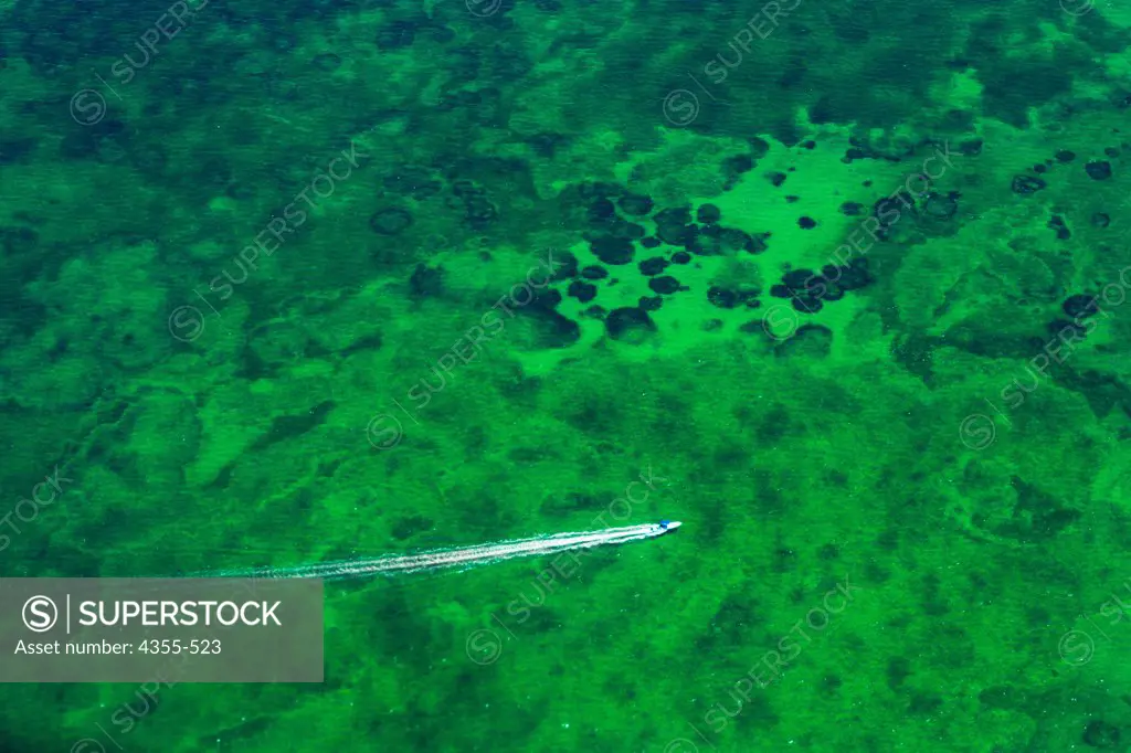 A Small Boat Cuts Across a Vibrant Green Reef