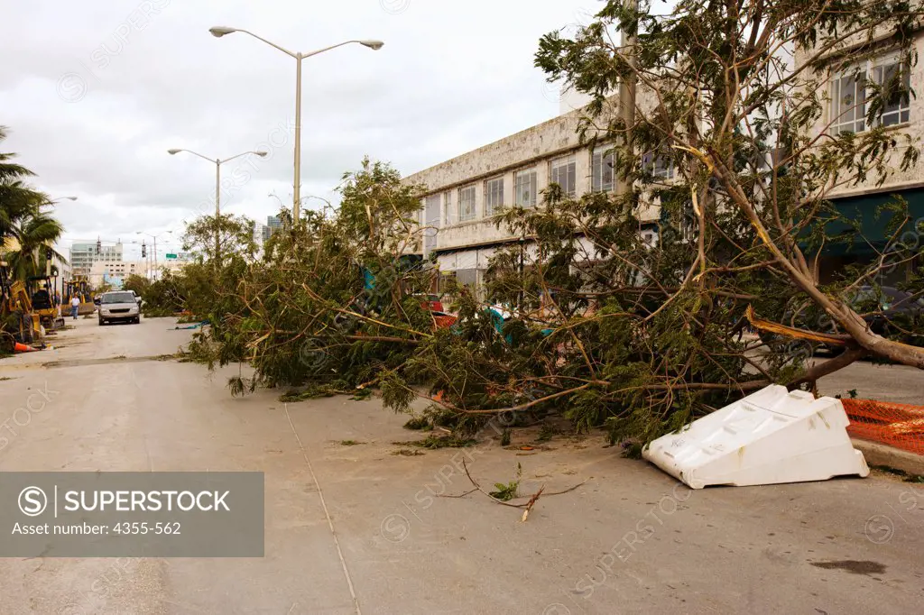 Hurricane Wilma Destruction on the Streets of Miami