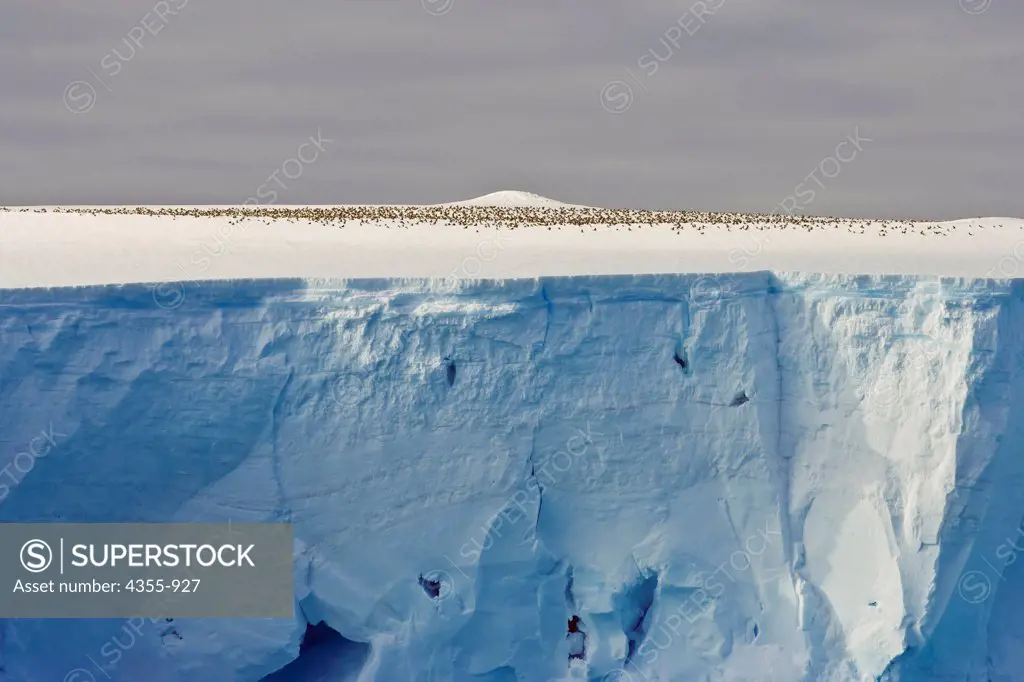 Enormous Tabular Iceberg in the Scotia Sea with Petrals