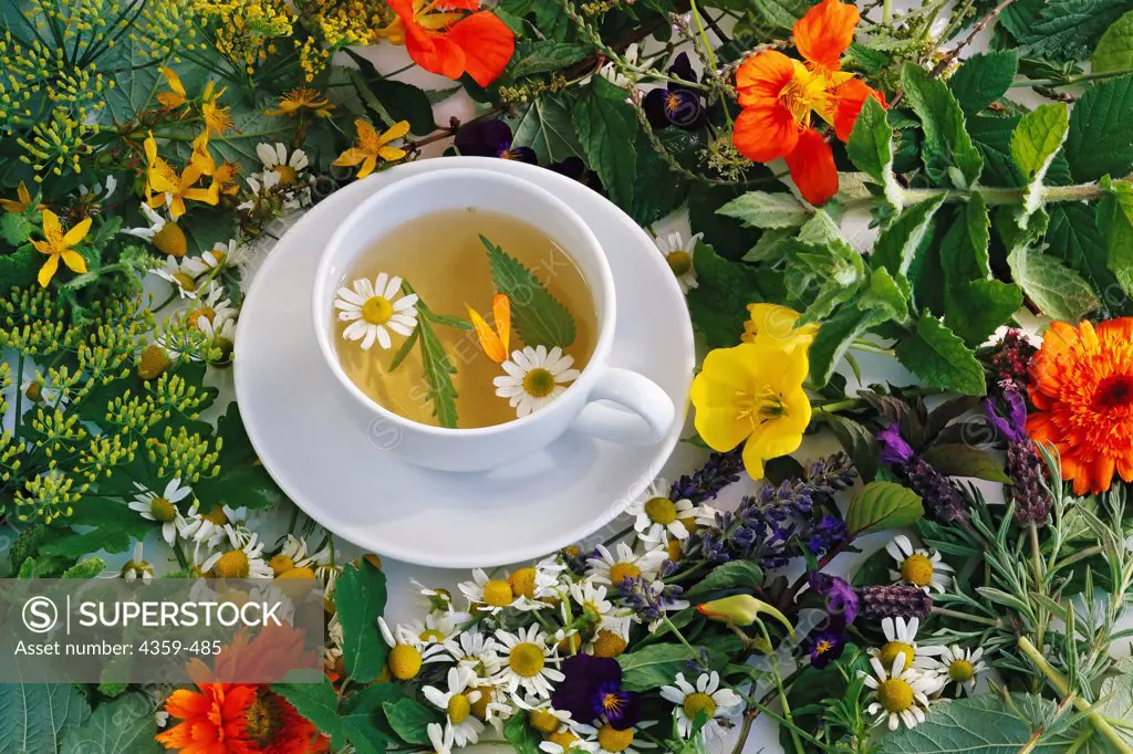 A cup of herbal tea among fresh herbs.