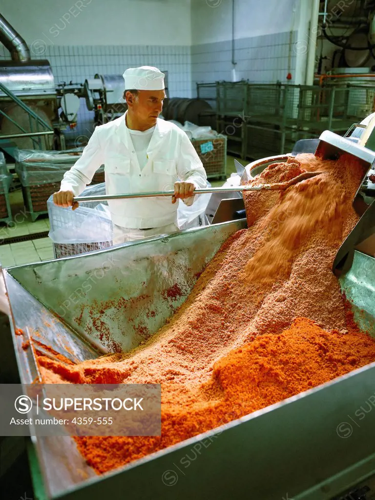 Tomato pulp discharging from a belt dryer at a soup factory. Tomato pulp is an initial product for the manufacture of tomato soups and sauces.