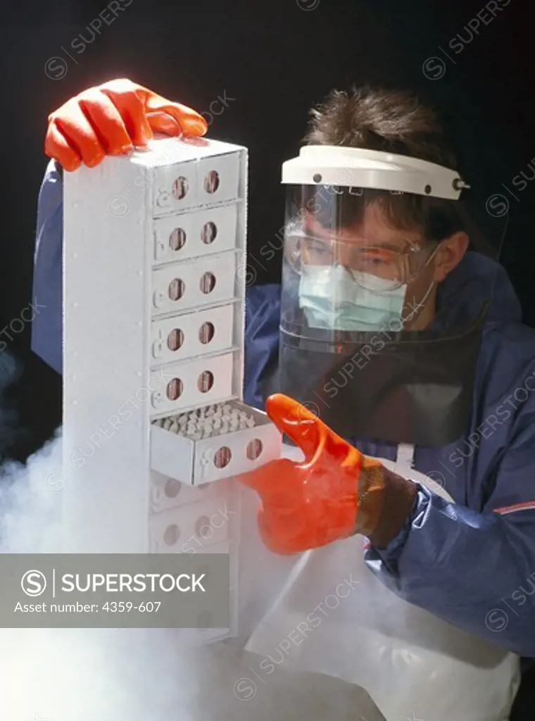 Researcher taking out cell cultures from a deep-freezing container