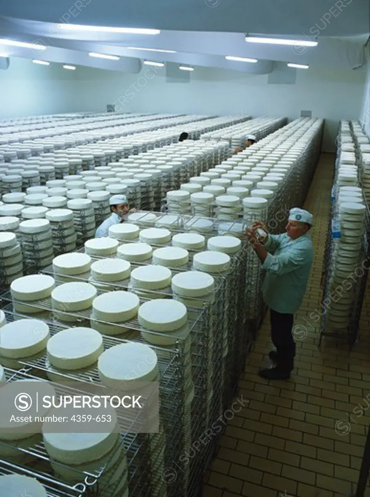 Cheese matured in fully air-conditioned maturing rooms for several weeks