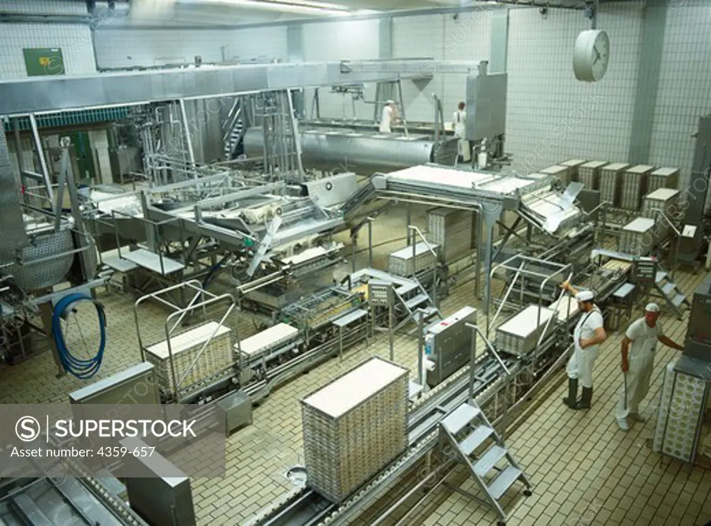 Production hall in which the broken cheese mass is filled into moulds