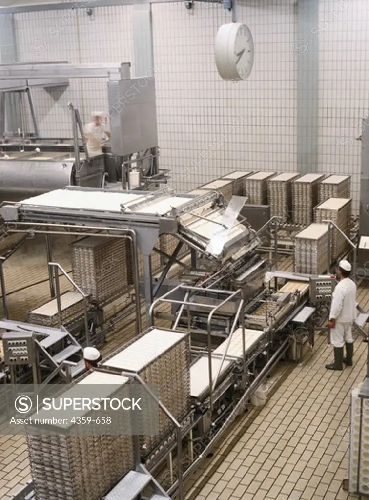 Production hall in which the broken cheese mass is filled into moulds.