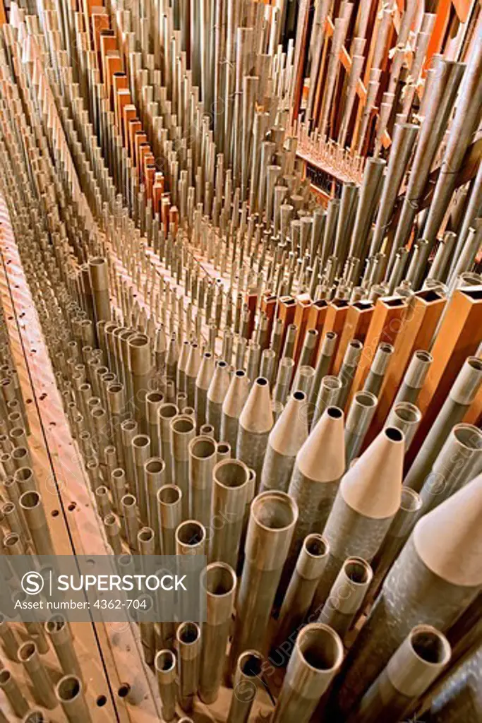 Pipes of The Great Organ