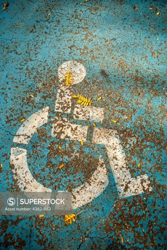 Handicapped parking space designated by icon of person in wheelchair
