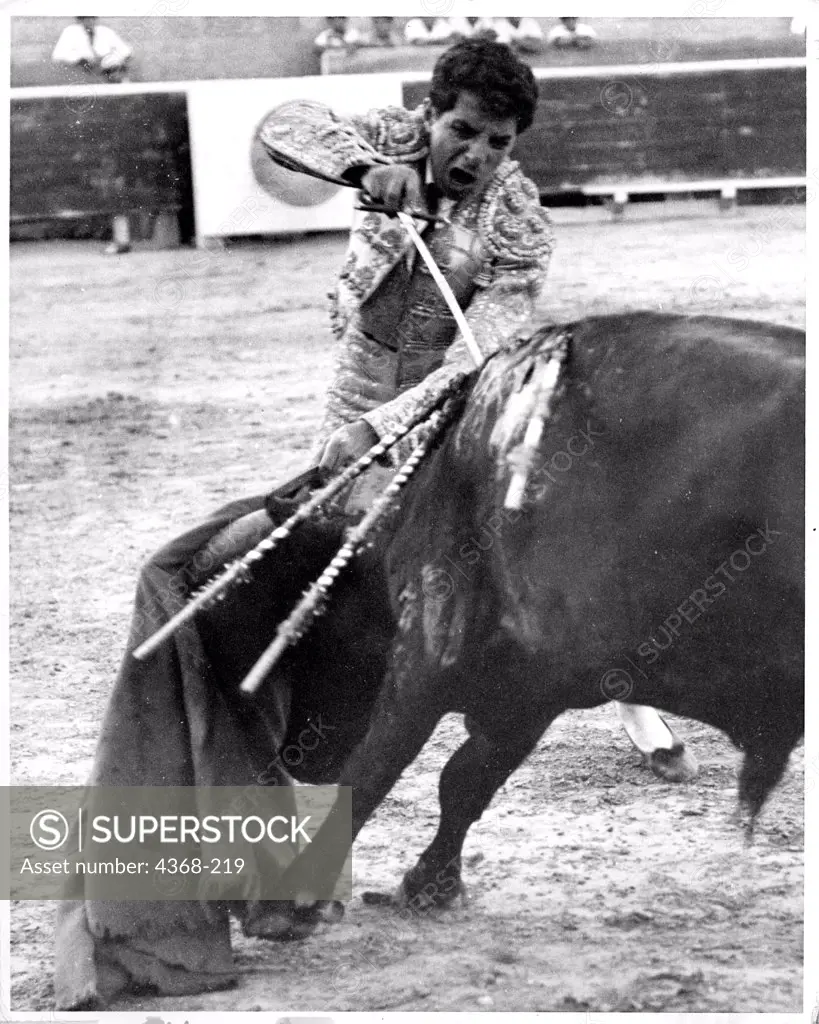 Mexico, Plaza Guadalupe, Matador using estoque to kill bull during bullfight in, 1955.