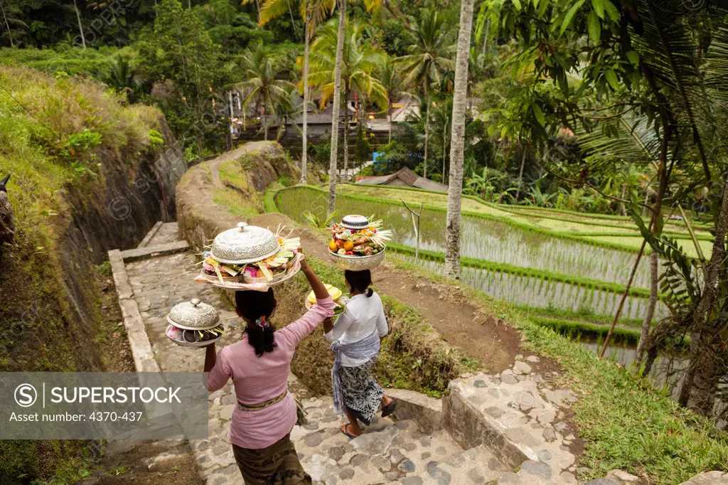 Indonesia, Bali, Women migrating to temple for Full Moon Ceremony, Temple Gunang Kawi