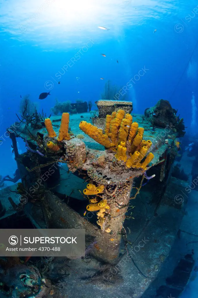 Cayman Islands, Grand Cayman Island, Doc Poulson Wreck