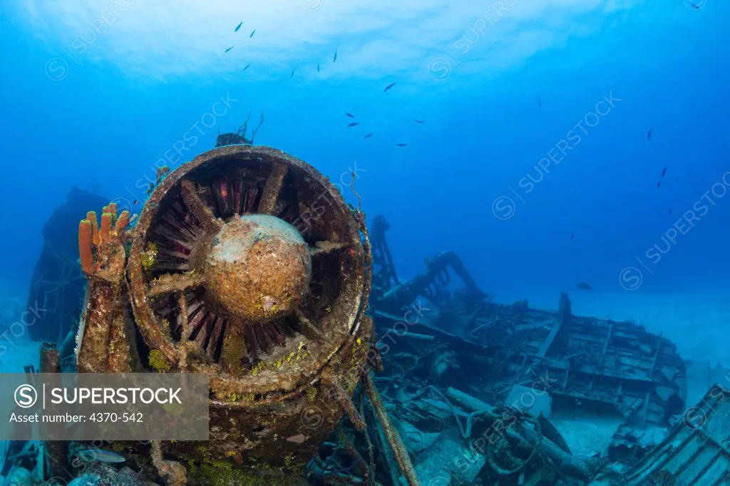 Cayman Islands, Cayman Brac, Scuba diving 356 Wreck