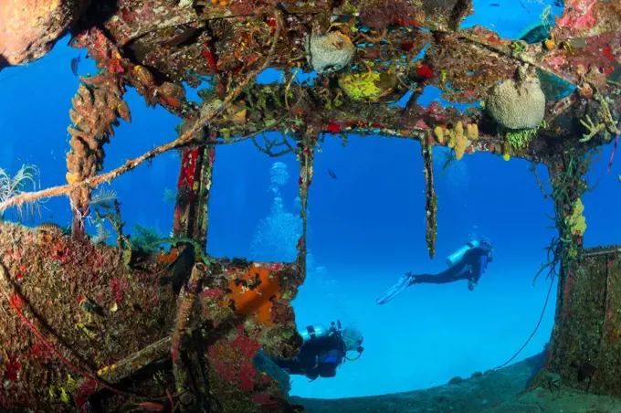 Cayman Islands, Grand Cayman Island, Scuba diving on Doc Poulson Wreck
