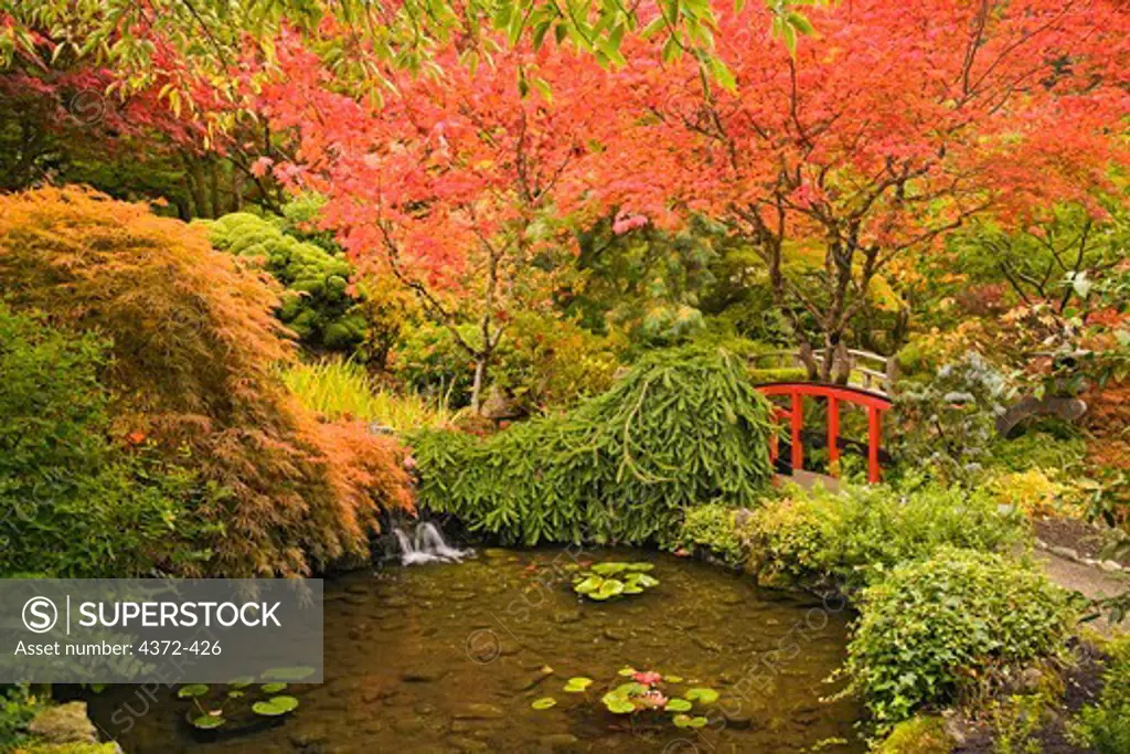 Japanese Gardens in Autumn