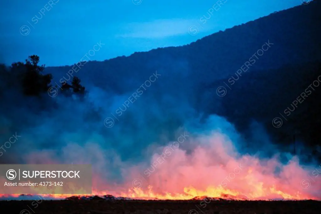 Burning Fields for Sugar Cane