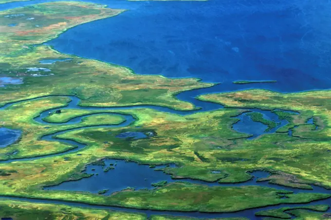 Aerial View of the Everglades National Park, Florida
