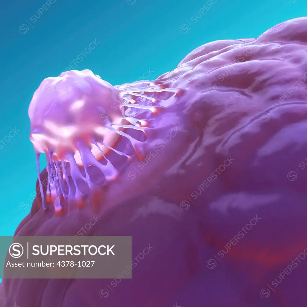 Microscopic styled view of a stem cell.