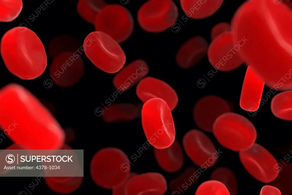 Scanning electromicrograph styled red blood cells.