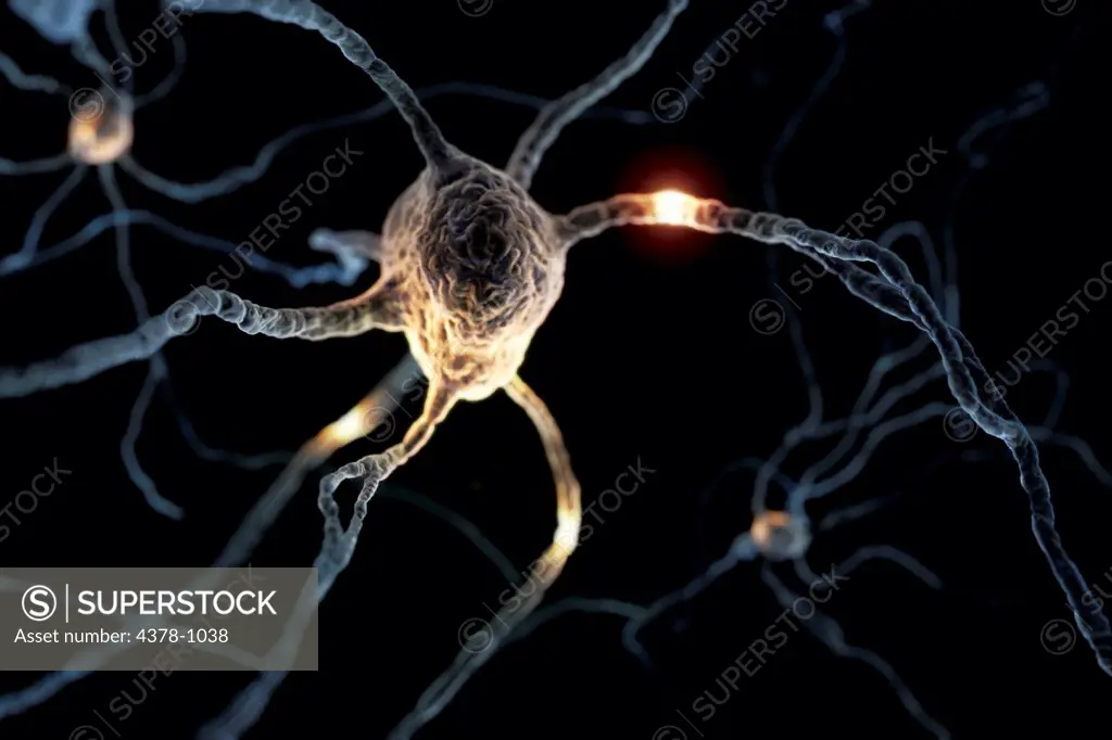 Microscopic styled visualization of neurons.