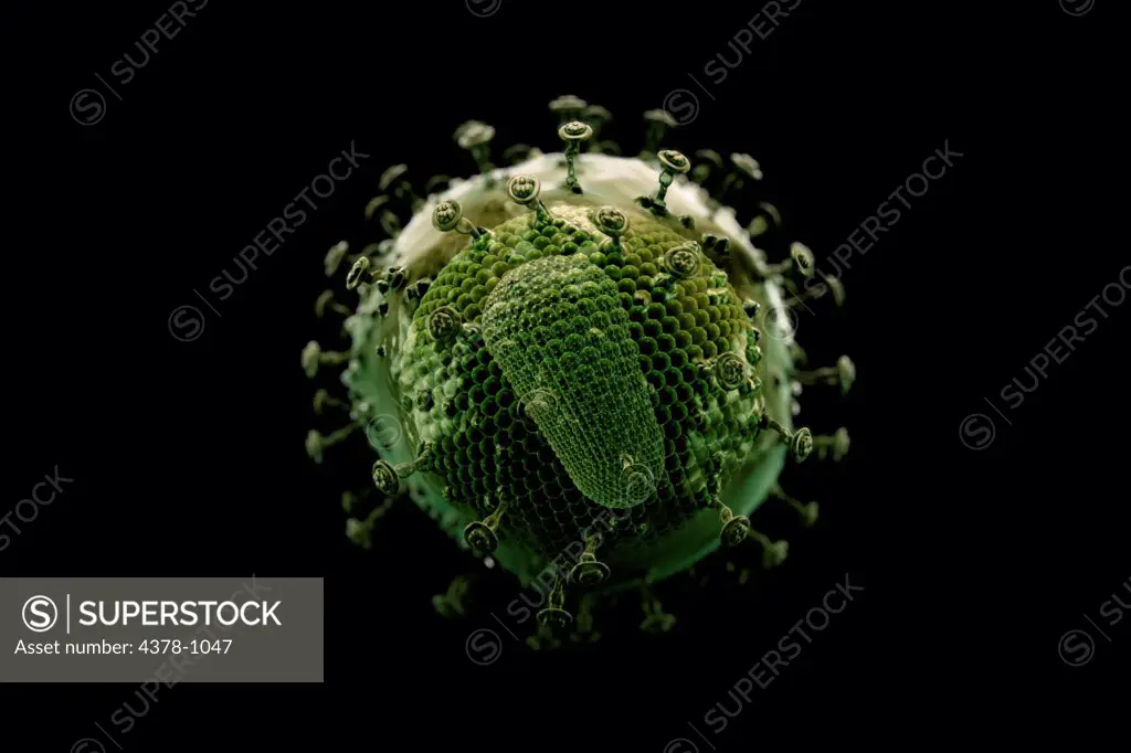 Scanning electron microscope styled HIV cell.