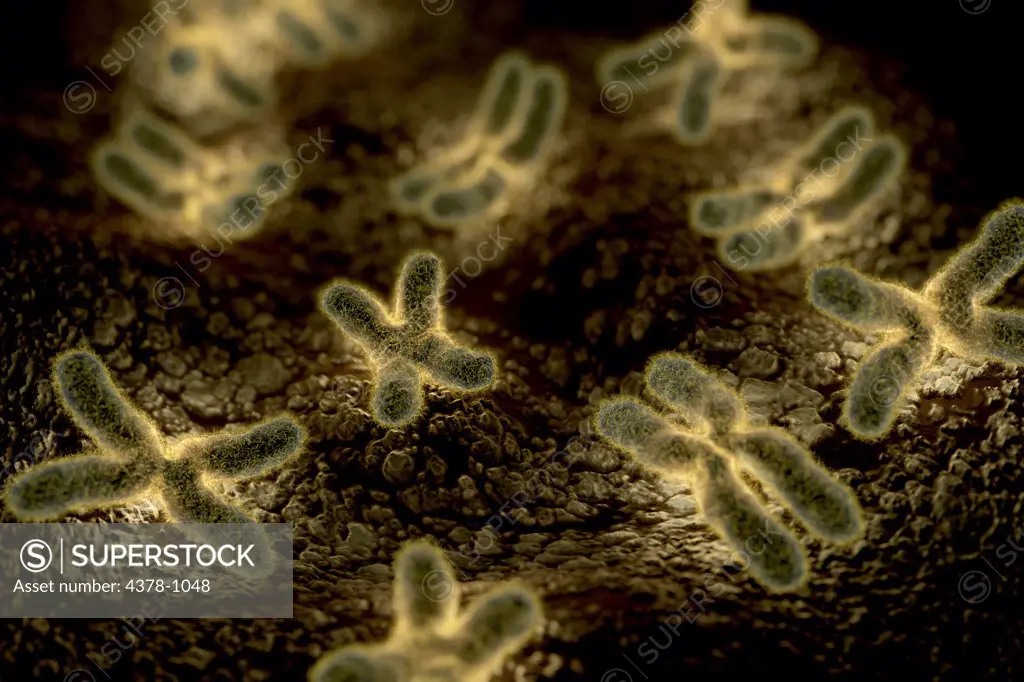 Microscopic styled visualization of human chromosomes.