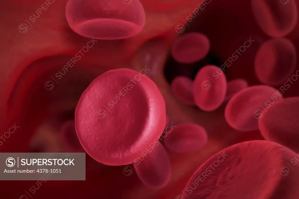 Scanning electromicrograph styled red blood cells.