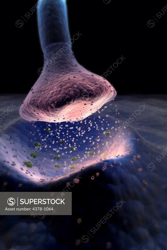Microscopic styled visualization of a synapse.