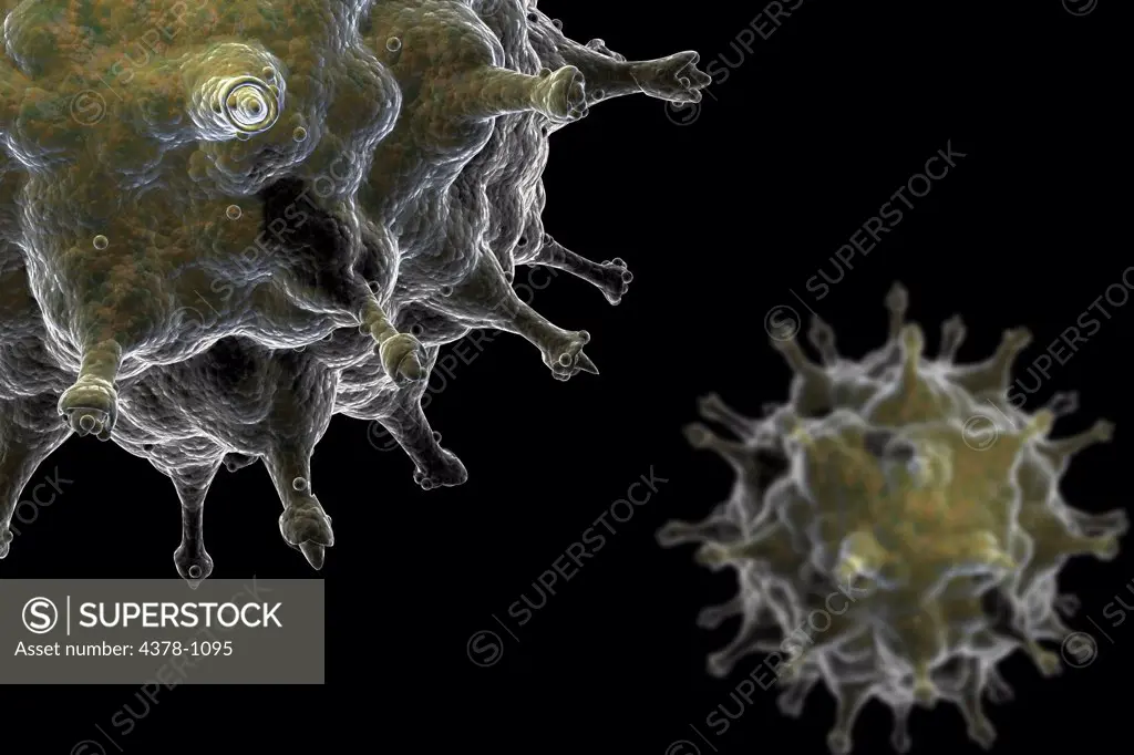 Stylized view of avian influenza virus particles.
