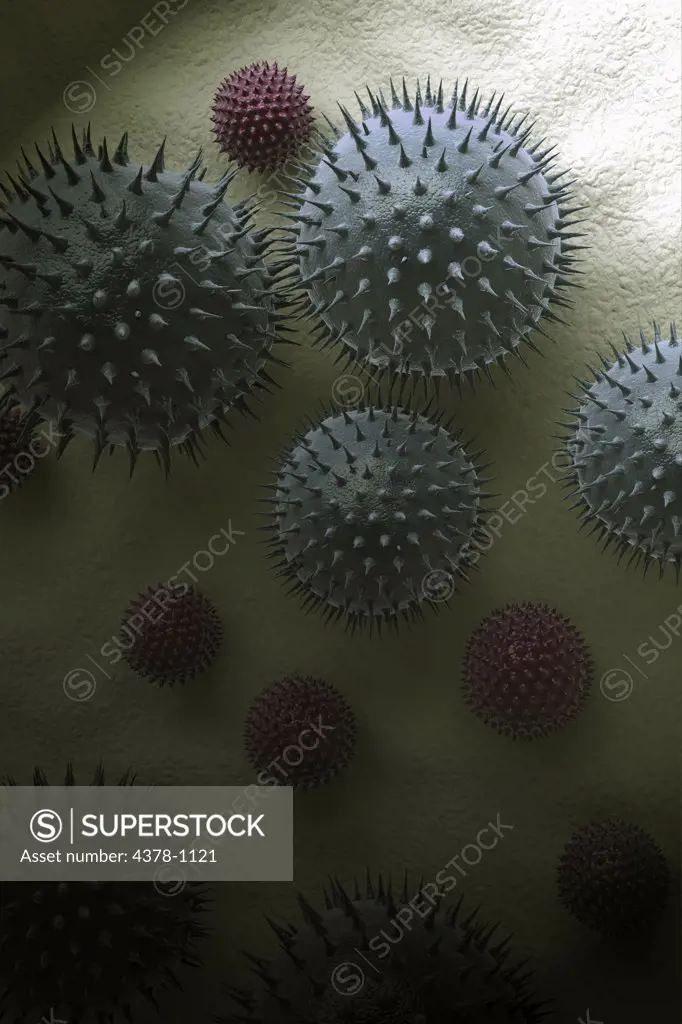 Microscopic styled visualization of pollen grains associated with allergies.