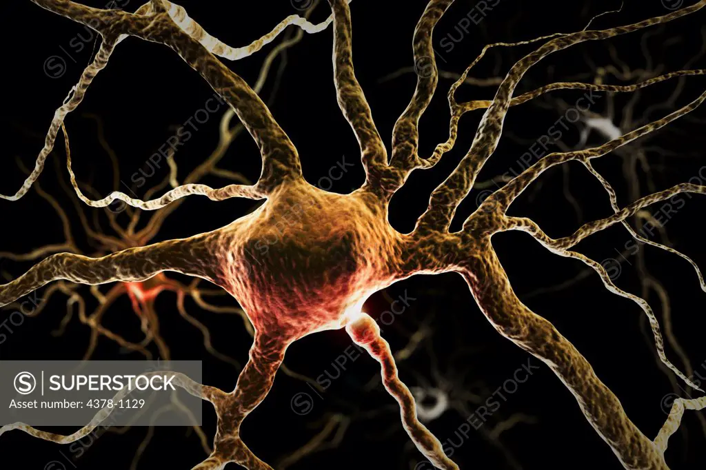 Microscopic styled visualization of neurons.