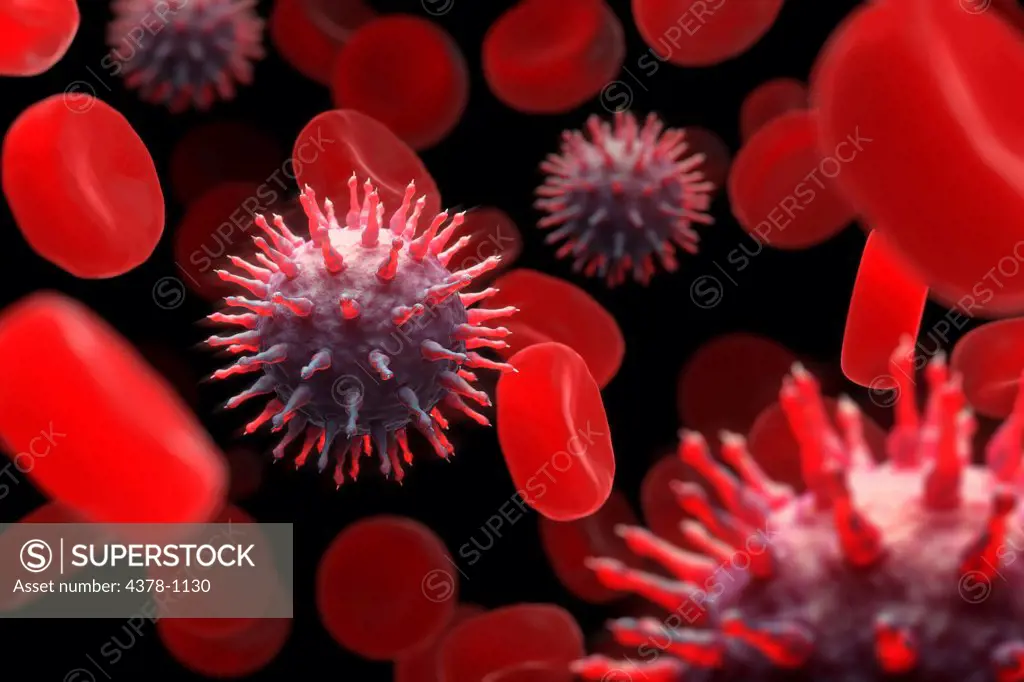 Conceptual visualization of the Swine influenza Virus (H1N1) within the bloodstream.
